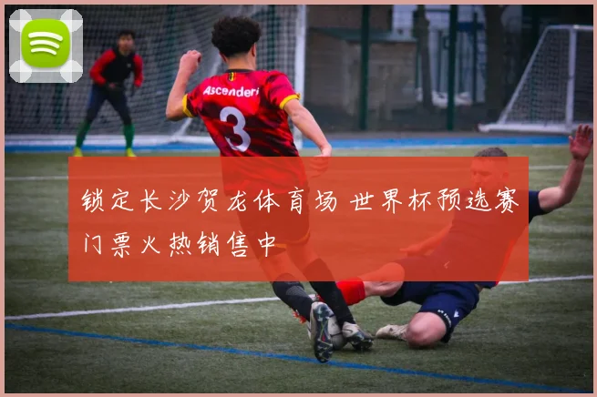 锁定长沙贺龙体育场 世界杯预选赛门票火热销售中