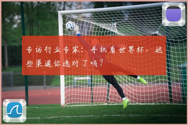 专访行业专家：手机看世界杯，这些渠道你选对了吗？