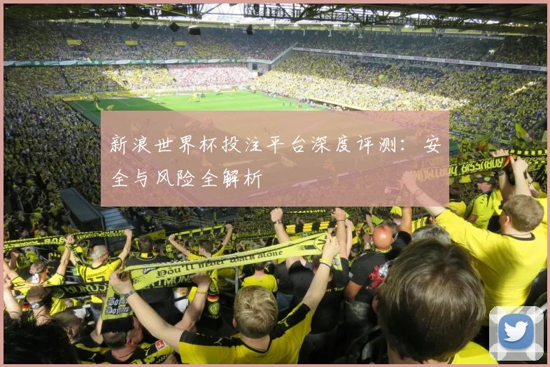 新浪世界杯投注平台深度评测：安全与风险全解析