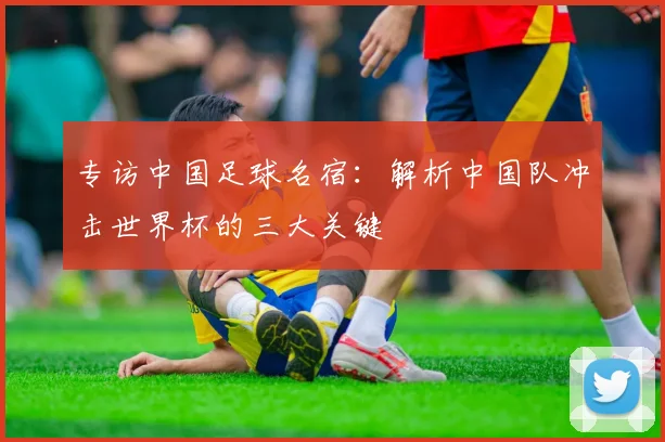 专访中国足球名宿：解析中国队冲击世界杯的三大关键
