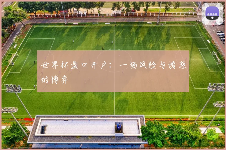 世界杯盘口开户：一场风险与诱惑的博弈